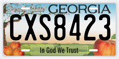GA license plate CXS8423