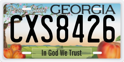 GA license plate CXS8426