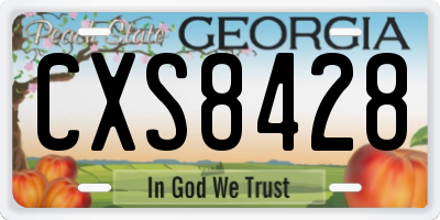 GA license plate CXS8428