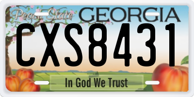 GA license plate CXS8431