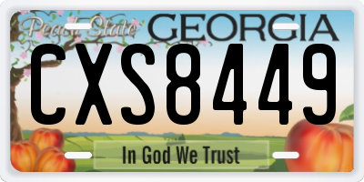 GA license plate CXS8449