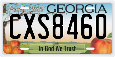GA license plate CXS8460