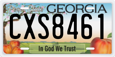 GA license plate CXS8461