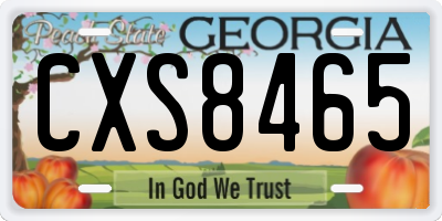 GA license plate CXS8465
