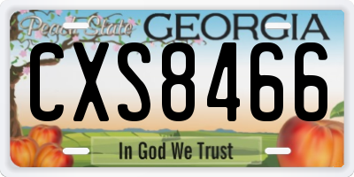 GA license plate CXS8466