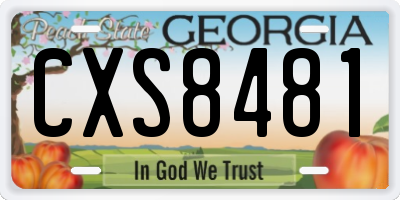 GA license plate CXS8481