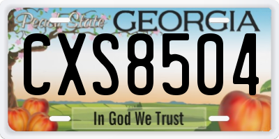 GA license plate CXS8504