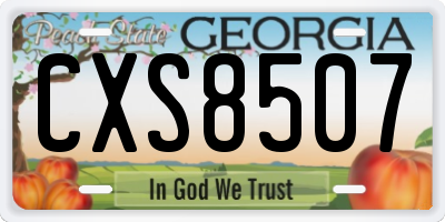 GA license plate CXS8507