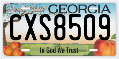 GA license plate CXS8509