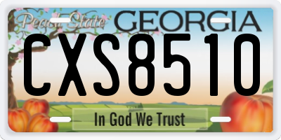 GA license plate CXS8510