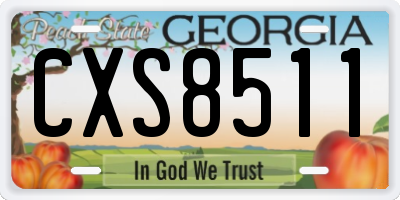 GA license plate CXS8511