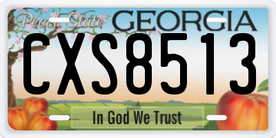 GA license plate CXS8513