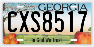 GA license plate CXS8517