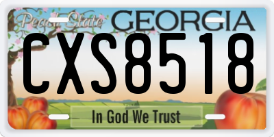 GA license plate CXS8518