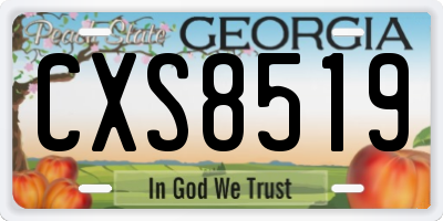 GA license plate CXS8519
