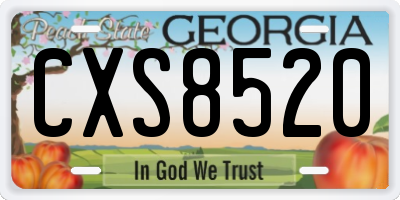 GA license plate CXS8520