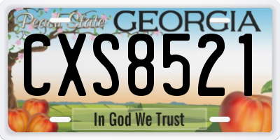 GA license plate CXS8521