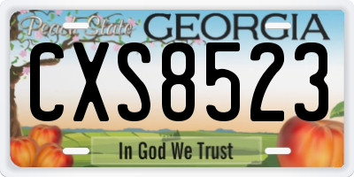GA license plate CXS8523