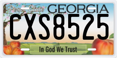 GA license plate CXS8525