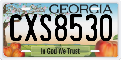 GA license plate CXS8530