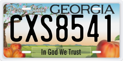 GA license plate CXS8541