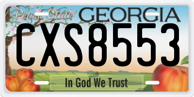 GA license plate CXS8553