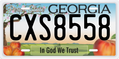 GA license plate CXS8558