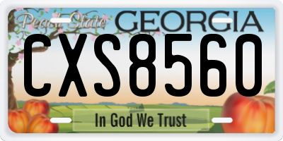 GA license plate CXS8560