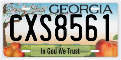 GA license plate CXS8561