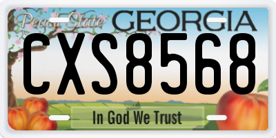 GA license plate CXS8568
