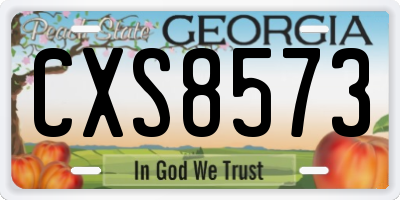 GA license plate CXS8573