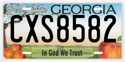 GA license plate CXS8582