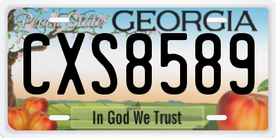 GA license plate CXS8589