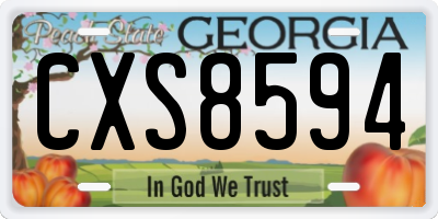 GA license plate CXS8594