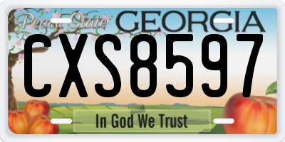 GA license plate CXS8597