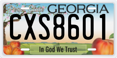 GA license plate CXS8601
