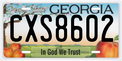 GA license plate CXS8602