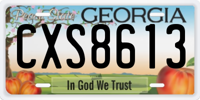 GA license plate CXS8613
