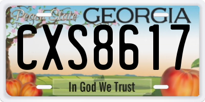 GA license plate CXS8617