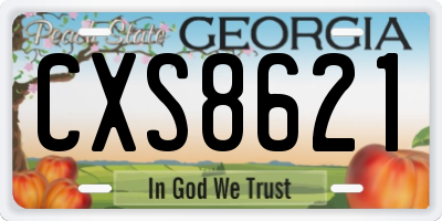 GA license plate CXS8621