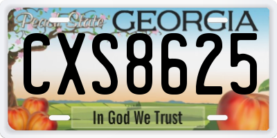GA license plate CXS8625