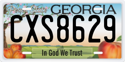 GA license plate CXS8629