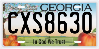 GA license plate CXS8630