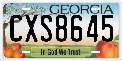 GA license plate CXS8645