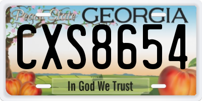 GA license plate CXS8654