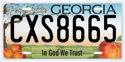 GA license plate CXS8665