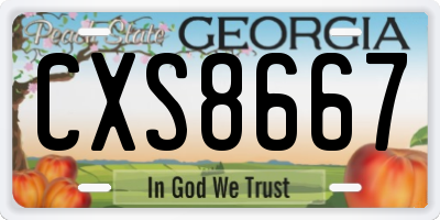 GA license plate CXS8667