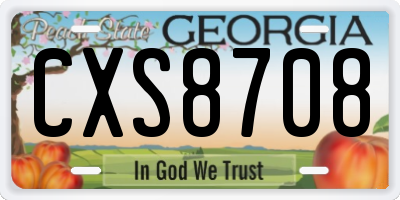 GA license plate CXS8708
