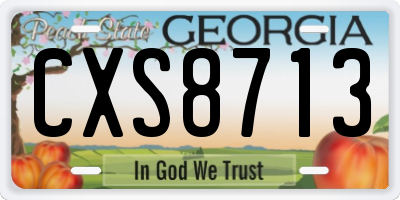GA license plate CXS8713
