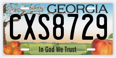 GA license plate CXS8729